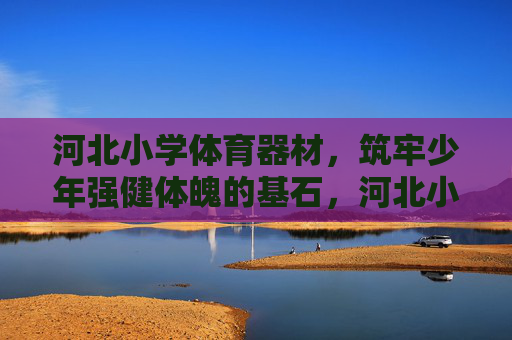 河北小学体育器材，筑牢少年强健体魄的基石，河北小学体育器材，筑牢少年强健体魄基石