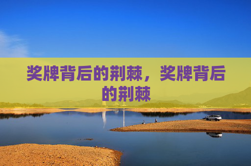 奖牌背后的荆棘，奖牌背后的荆棘