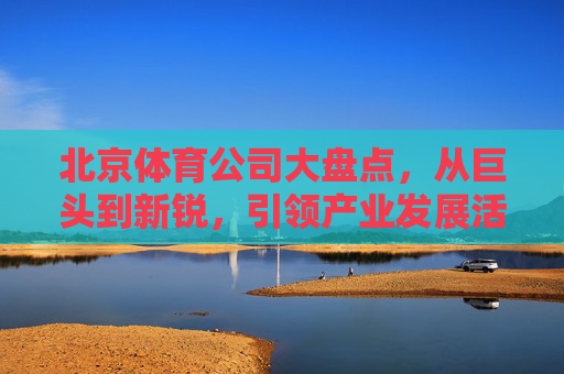北京体育公司大盘点，从巨头到新锐，引领产业发展活力，北京体育公司大盘点，巨头领航，新锐崛起，激活产业活力