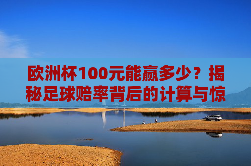 欧洲杯100元能赢多少？揭秘足球赔率背后的计算与惊喜，欧洲杯100元能赢多少？揭秘赔率计算与惊喜