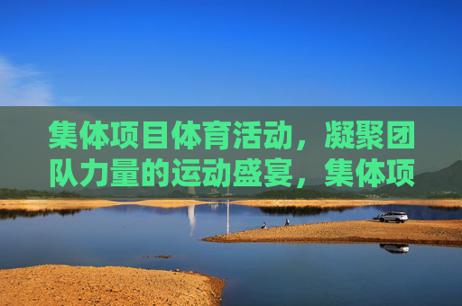 集体项目体育活动，凝聚团队力量的运动盛宴，集体项目，凝聚团队力量的运动盛宴