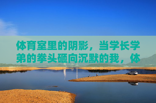 体育室里的阴影，当学长学弟的拳头砸向沉默的我，体育室阴影，拳落沉默