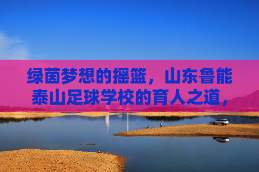 绿茵梦想的摇篮,山东鲁能泰山足球学校的育人之道,山东鲁能泰山足球学校,绿茵梦想的摇篮与育人之道 绿茵梦想的摇篮,山东鲁能泰山足球学校的育人之道,山东鲁能泰山足球学校,绿茵梦想的摇篮与育人之道