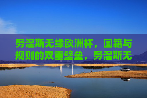努涅斯无缘欧洲杯，国籍与规则的双重壁垒，努涅斯无缘欧洲杯，国籍与规则的双重壁垒