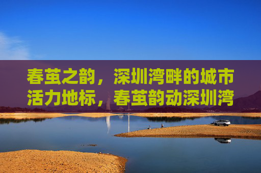 春茧之韵,深圳湾畔的城市活力地标,春茧韵动深圳湾,城市活力地标 春茧之韵,深圳湾畔的城市活力地标,春茧韵动深圳湾,城市活力地标