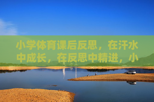 小学体育课后反思，在汗水中成长，在反思中精进，小学体育课后，汗水浇灌成长，反思助力精进