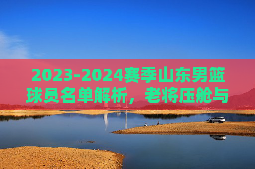 2023-2024赛季山东男篮球员名单解析，老将压舱与新锐崛起，冲击季后赛的关键拼图，2023-2024赛季山东男篮名单解析，老将压舱新锐崛起，冲击季后赛关键拼图