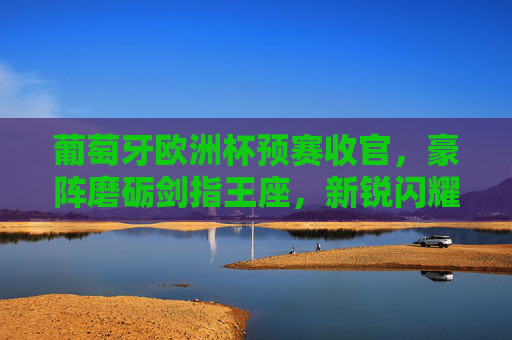 葡萄牙欧洲杯预赛收官，豪阵磨砺剑指王座，新锐闪耀传承不息，葡萄牙预赛收官豪阵磨砺 新锐闪耀剑指王座
