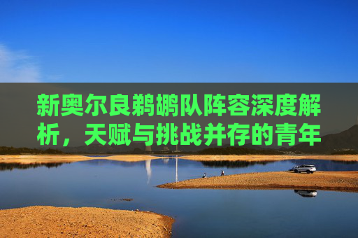 新奥尔良鹈鹕队阵容深度解析，天赋与挑战并存的青年军，新奥尔良鹈鹕队阵容深度解析，天赋与挑战并存的青年军
