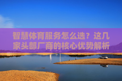 智慧体育服务怎么选？这几家头部厂商的核心优势解析，智慧体育服务，头部厂商核心优势与选择指南