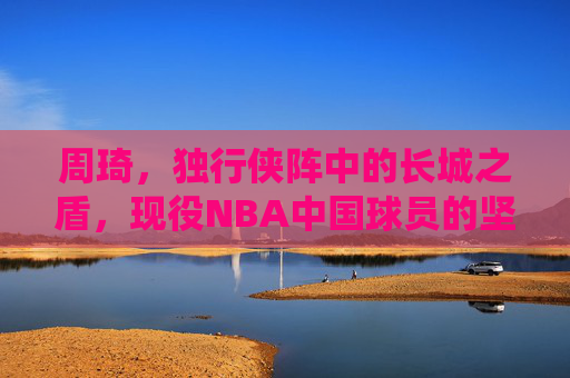 周琦，独行侠阵中的长城之盾，现役NBA中国球员的坚守与突围，周琦，独行侠长城之盾与现役中国球员的坚守突围