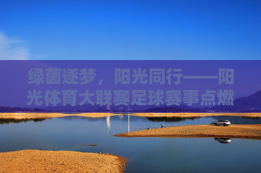 绿茵逐梦，阳光同行——阳光体育大联赛足球赛事点燃校园激情，阳光体育大联赛，绿茵逐梦点燃校园激情