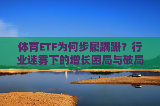 体育ETF为何步履蹒跚？行业迷雾下的增长困局与破局之路，体育ETF，困局与破局之路