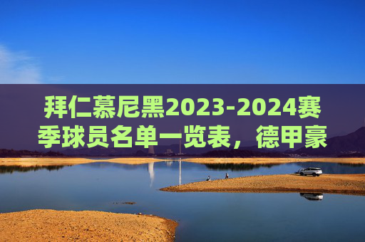 拜仁慕尼黑2023-2024赛季球员名单一览表，德甲豪星的钢铁洪流，拜仁慕尼黑2023-2024赛季，德甲豪星钢铁洪流球员名单
