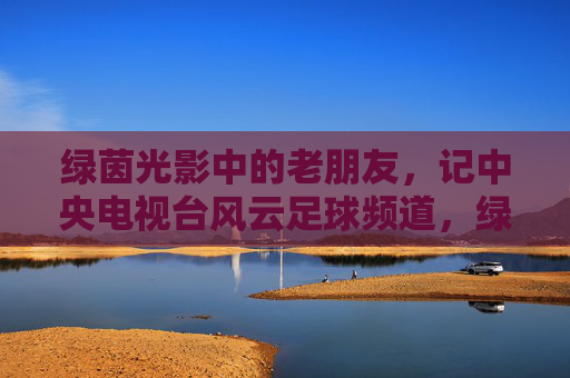绿茵光影中的老朋友,记中央电视台风云足球频道,绿茵光影中的老朋友,央视风云足球频道 绿茵光影中的老朋友,记中央电视台风云足球频道,绿茵光影中的老朋友,央视风云足球频道