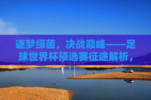 逐梦绿茵,决战巅峰——足球世界杯预选赛征途解析,逐梦绿茵,决战巅峰——世界杯预选赛征途 逐梦绿茵,决战巅峰——足球世界杯预选赛征途解析,逐梦绿茵,决战巅峰——世界杯预选赛征途