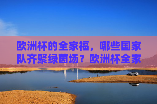 欧洲杯的全家福,哪些国家队齐聚绿茵场?欧洲杯全家福,国家队齐聚绿茵场 欧洲杯的全家福,哪些国家队齐聚绿茵场?欧洲杯全家福,国家队齐聚绿茵场