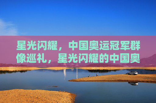 星光闪耀，中国奥运冠军群像巡礼，星光闪耀的中国奥运冠军群像
