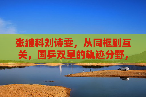张继科刘诗雯，从同框到互关，国乒双星的轨迹分野，张继科刘诗雯，从同框到互关，国乒双星的轨迹分野