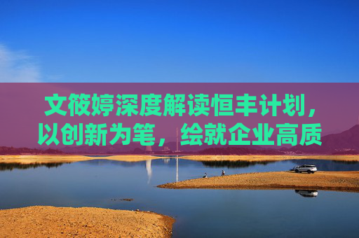 文筱婷深度解读恒丰计划，以创新为笔，绘就企业高质量发展新蓝图，恒丰计划，以创新为笔，绘就高质量发展新蓝图