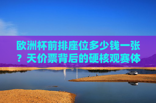 欧洲杯前排座位多少钱一张？天价票背后的硬核观赛体验与理性选择，欧洲杯前排天价票，硬核观赛体验与理性选择