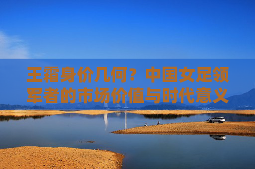 王霜身价几何?中国女足领军者的市场价值与时代意义,王霜身价,中国女足领军者的市场价值与时代意义 王霜身价几何?中国女足领军者的市场价值与时代意义,王霜身价,中国女足领军者的市场价值与时代意义