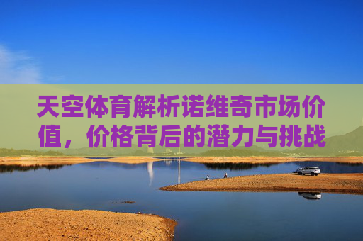 天空体育解析诺维奇市场价值,价格背后的潜力与挑战,天空体育解析诺维奇市场价值,价格背后的潜力与挑战 天空体育解析诺维奇市场价值,价格背后的潜力与挑战,天空体育解析诺维奇市场价值,价格背后的潜力与挑战