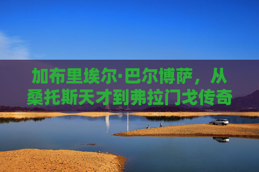 加布里埃尔·巴尔博萨，从桑托斯天才到弗拉门戈传奇的加比神之路，加比神之路，从桑托斯天才到弗拉门戈传奇