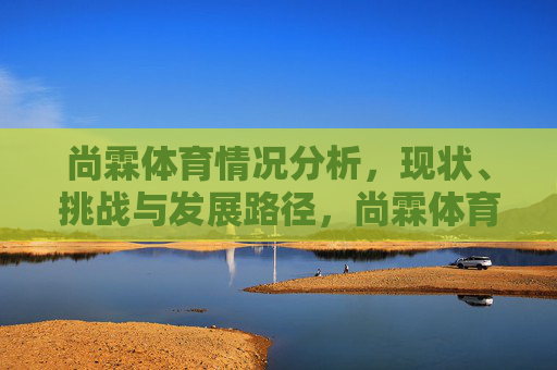尚霖体育情况分析，现状、挑战与发展路径，尚霖体育现状、挑战与发展路径分析