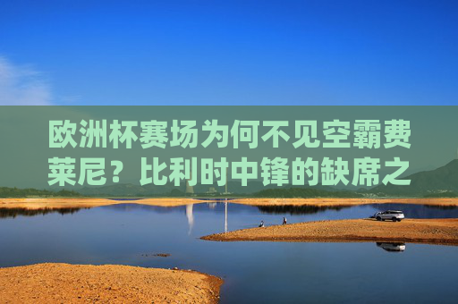 欧洲杯赛场为何不见空霸费莱尼?比利时中锋的缺席之谜,欧洲杯空霸费莱尼缺席之谜 欧洲杯赛场为何不见空霸费莱尼?比利时中锋的缺席之谜,欧洲杯空霸费莱尼缺席之谜