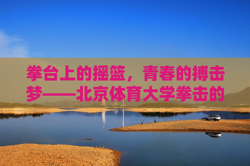 拳台上的摇篮,青春的搏击梦——北京体育大学拳击的故事,拳台摇篮,北体大青春搏击梦 拳台上的摇篮,青春的搏击梦——北京体育大学拳击的故事,拳台摇篮,北体大青春搏击梦
