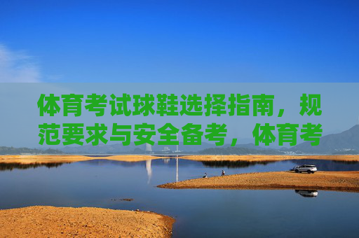 体育考试球鞋选择指南，规范要求与安全备考，体育考试球鞋选择指南，规范要求与安全备考