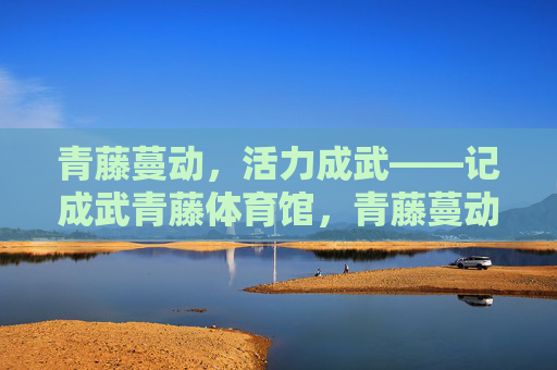 青藤蔓动，活力成武——记成武青藤体育馆，青藤蔓动，活力成武——成武青藤体育馆
