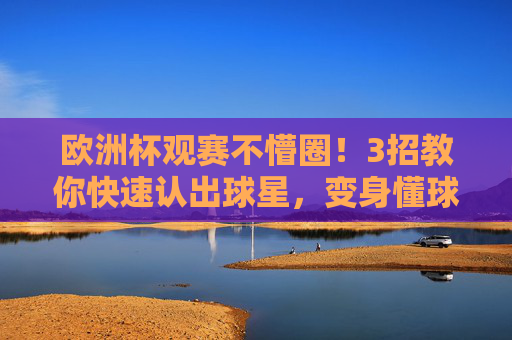 欧洲杯观赛不懵圈!3招教你快速认出球星,变身懂球帝 欧洲杯观赛不懵圈!3招教你快速认出球星,变身懂球帝