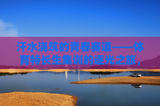 汗水浇筑的青春赛道——体育特长生集训的逐光之旅,汗水浇筑青春赛道,体育特长生逐光集训之旅 汗水浇筑的青春赛道——体育特长生集训的逐光之旅,汗水浇筑青春赛道,体育特长生逐光集训之旅