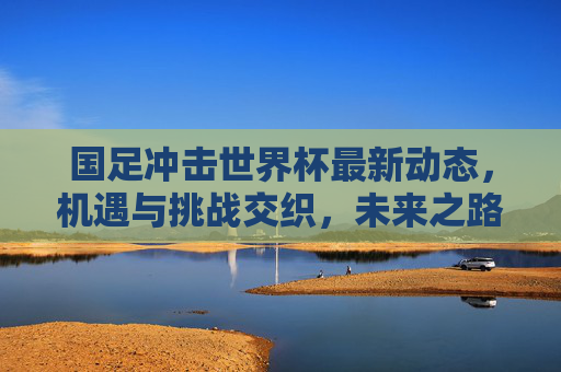 国足冲击世界杯最新动态，机遇与挑战交织，未来之路需脚踏实地，国足冲击世界杯，机遇挑战交织，未来之路需脚踏实地