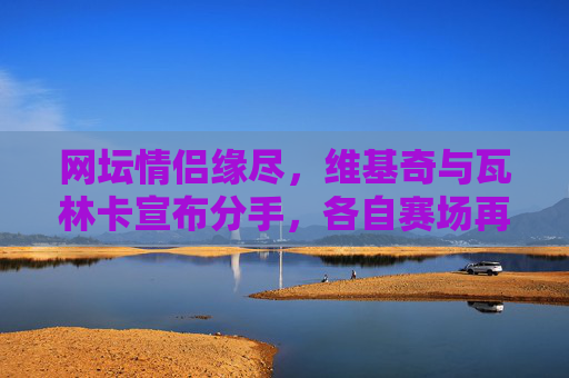 网坛情侣缘尽，维基奇与瓦林卡宣布分手，各自赛场再启程，维基奇与瓦林卡网坛缘尽分手，各自赛场再启程