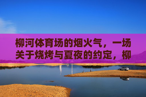 柳河体育场的烟火气，一场关于烧烤与夏夜的约定，柳河体育场烟火气，烧烤与夏夜的约定