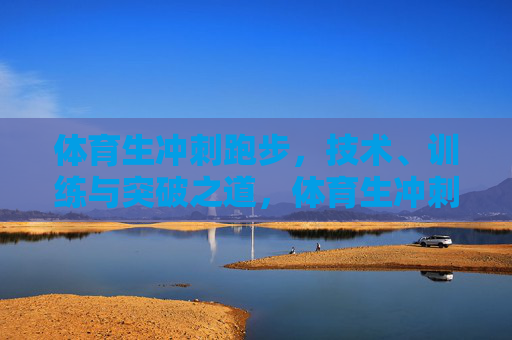 体育生冲刺跑步,技术、训练与突破之道,体育生冲刺,技术、训练与突破之道 体育生冲刺跑步,技术、训练与突破之道,体育生冲刺,技术、训练与突破之道