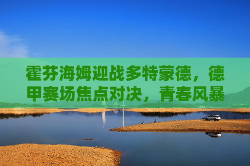 霍芬海姆迎战多特蒙德,德甲赛场焦点对决,青春风暴与经验底蕴的碰撞,德甲焦点战,霍芬海姆青春风暴VS多特蒙德经验底蕴 霍芬海姆迎战多特蒙德,德甲赛场焦点对决,青春风暴与经验底蕴的碰撞,德甲焦点战,霍芬海姆青春风暴VS多特蒙德经验底蕴