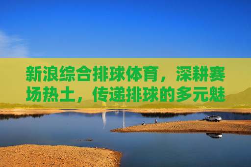 新浪综合排球体育，深耕赛场热土，传递排球的多元魅力，新浪深耕排球赛场 传递多元体育魅力