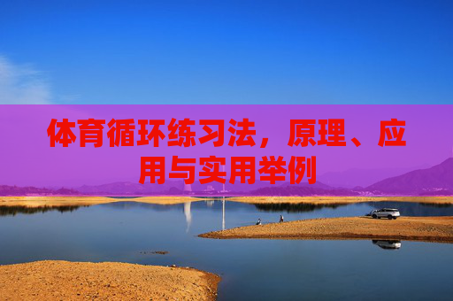 体育循环练习法,原理、应用与实用举例 体育循环练习法,原理、应用与实用举例