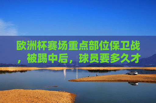 欧洲杯赛场重点部位保卫战,被踢中后,球员要多久才能满血复活?欧洲杯重点部位被踢中,球员多久满血复活? 欧洲杯赛场重点部位保卫战,被踢中后,球员要多久才能满血复活?欧洲杯重点部位被踢中,球员多久满血复活?