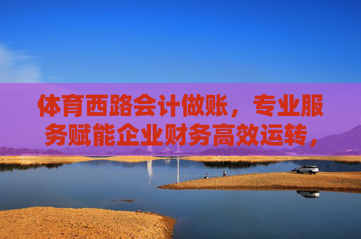 体育西路会计做账，专业服务赋能企业财务高效运转，体育西路专业会计做账，赋能企业财务高效运转
