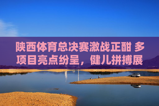 陕西体育总决赛激战正酣 多项目亮点纷呈，健儿拼搏展风采，陕西体育总决赛激战正酣 健儿拼搏展风采