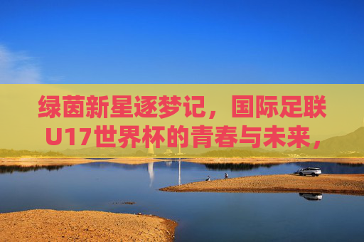 绿茵新星逐梦记,国际足联U17世界杯的青春与未来,U17世界杯,新星逐梦,青春向未来 绿茵新星逐梦记,国际足联U17世界杯的青春与未来,U17世界杯,新星逐梦,青春向未来