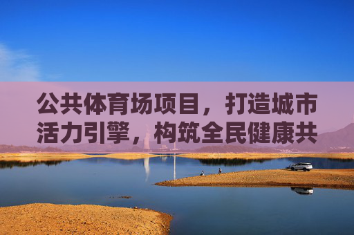 公共体育场项目，打造城市活力引擎，构筑全民健康共同体，公共体育场，激活城市活力，共筑健康共同体