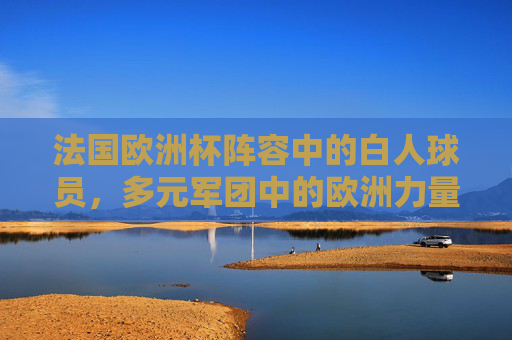 法国欧洲杯阵容中的白人球员，多元军团中的欧洲力量基石，法国欧洲杯多元军团中的白人球员，欧洲力量基石