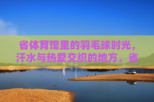 省体育馆里的羽毛球时光，汗水与热爱交织的地方，省体育馆羽毛球时光，汗水与热爱的交织