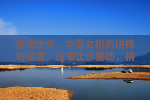 遗憾止步，中国女排的拼搏与希望，遗憾止步赛场，拼搏铸就希望
